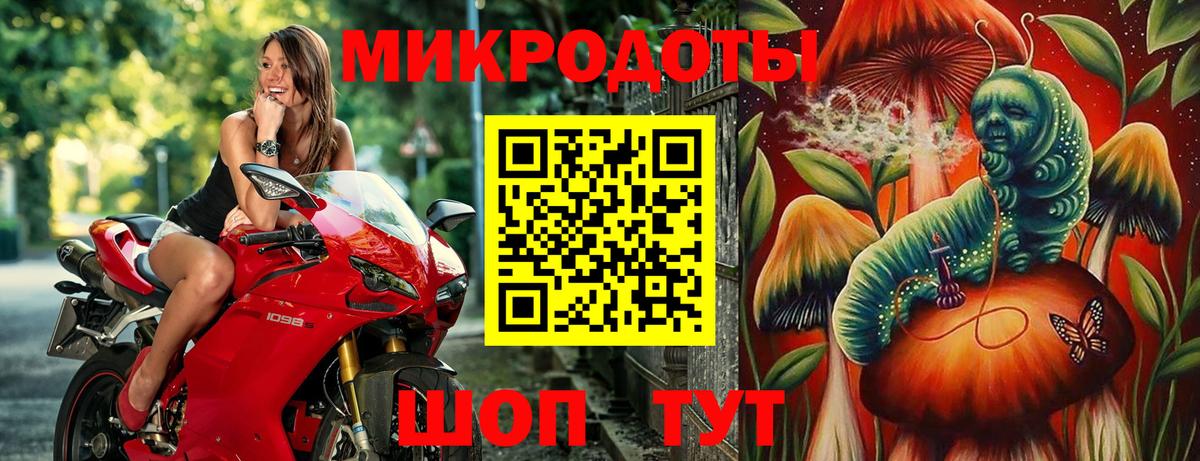 Галлюциногенные грибы Cubensis Канаш