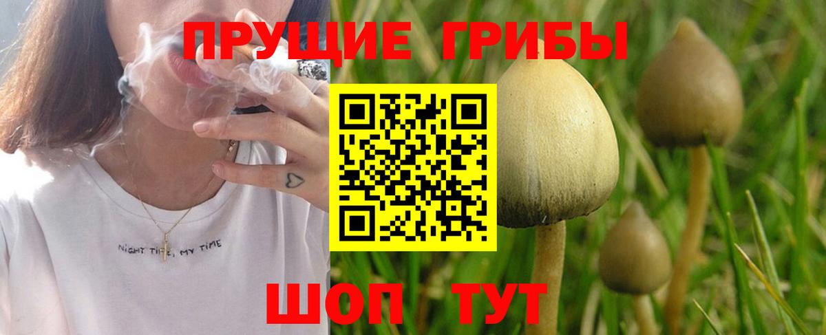 Канаш  Галлюциногенные грибы MAGIC MUSHROOMS  Вход с VPN 