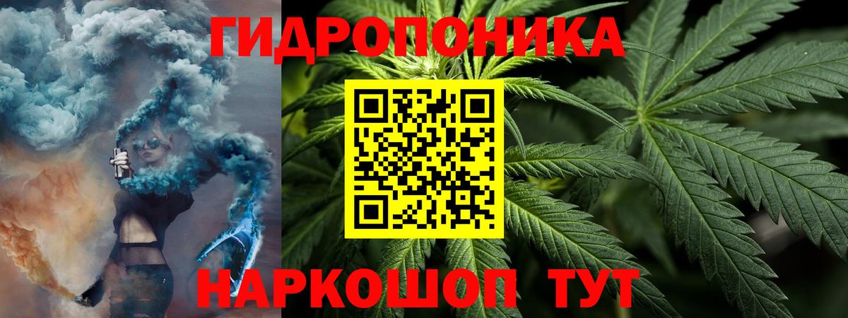 Конопля ГИДРОПОН  Бошки Шишки VHQ  Вход с VPN  Канаш  Каннабис марихуана 